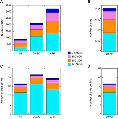 Epigenomic signatures associated with spontaneous and replication stress-induced DNA double strand breaks